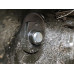 39Q009 Lower Engine Oil Pan For 09-20 Nissan Maxima  3.5 111109N00B