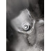 GRF503 Engine Oil Pan From 2005 Dodge Ram 1500  5.7 53021334AF