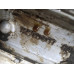 57T102 Right Valve Cover From 2002 Chevrolet Silverado 1500  5.3 12570697