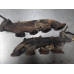59X104 Exhaust Manifold Pair Set For 04-09 Ford F-150  5.4 7C3E9430DA