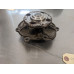 60F106 Water Coolant Pump For 04-07 Cadillac CTS  3.6 12566029