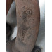 79J116 Exhaust Manifold For 13-16 Cadillac ATS  2.5 12527086