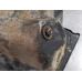 GWA401 Engine Oil Pan From 2007 Dodge Ram 1500  5.7 53021334AF