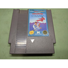 Karate Champ Nintendo NES Cartridge Only