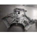 GVZ105 Engine Timing Cover For 07-18 Toyota Tundra  5.7 113100S010