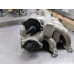 GTQ507 Intake Manifold For 02-08 Jaguar X-type  3.0  AWD