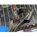 215M034 Left Piston and Rod Standard From 2005 Jeep Grand Cherokee  5.7  Hemi
