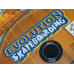 Evolution Skateboarding Sony PlayStation 2 Complete in Box