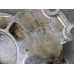 225Q021 Engine Oil Pump For 05-06 GMC Yukon  5.3 12556436 4WD