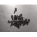 231P005 Engine Oil Pan Bolts For 11-14 Ford Edge  3.5  FWD