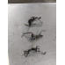 228F108 Piston Cooling Oil Squirter Jets For 10-12 Audi S4  3.0  Supercharged