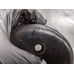 250A107 Water Pump Pulley For 06-10 Ford Mustang  4.0 6L2E8509AA RWD