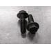 256R341 Camshaft Bolt Set For 20-24 Hyundai Palisade  3.8  Gas