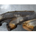 263B114 Exhaust Manifold Pair Set For 04-09 Ford F-150  5.4 7L1E9431AA Gas