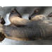 263B114 Exhaust Manifold Pair Set For 04-09 Ford F-150  5.4 7L1E9431AA Gas