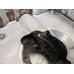 GXZ501 Engine Oil Pan For 07-08 GMC Yukon  5.3 12640746 Gas
