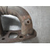 271K323 Left Exhaust Manifold For 05-08 Nissan Xterra  4.0  Gas