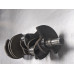 #6A08 Crankshaft Standard For 97-14 Ford Expedition  5.4 F75E6303A17G Gas
