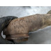 281Z316 Upstream Exhaust Pipe For 11-16 Chevrolet Silverado 3500 HD  6.6  Diesel