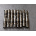 280Q209 Lifters Set All From 2006 Chevrolet Corvette  6.0  Gas