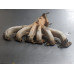 206C224 Exhaust Manifold For 02-05 Chevrolet Trailblazer 4.2 24577524 Gas 206C224 Exhaust Manifold For 02-05 Chevrolet Trailblazer 4.2 24577524 Gas