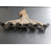 206C224 Exhaust Manifold For 02-05 Chevrolet Trailblazer 4.2 24577524 Gas 206C224 Exhaust Manifold For 02-05 Chevrolet Trailblazer 4.2 24577524 Gas
