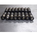 213U214 Lifters Set All From 2001 Dodge Durango  5.9  Gas