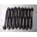 213V105 Cylinder Head Bolt Kit For 14-19 Dodge Grand Caravan  3.6 06509564AA Gas