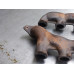 16A231 Exhaust Manifold Pair Set For 95-97 Ford Thunderbird  4.6  Gas
