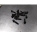 230S316 Timing Cover Bolts For 06-07 Ford F-250 Super Duty  6.0  Diesel