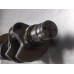 #4E03 Crankshaft Standard For 17-19 Ford F-250 Super Duty  6.7 BC3Q6303AD Diesel