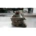 #CC03 Left Cylinder Head For 05-06 Jeep Grand Cherokee  3.7 53020983AD